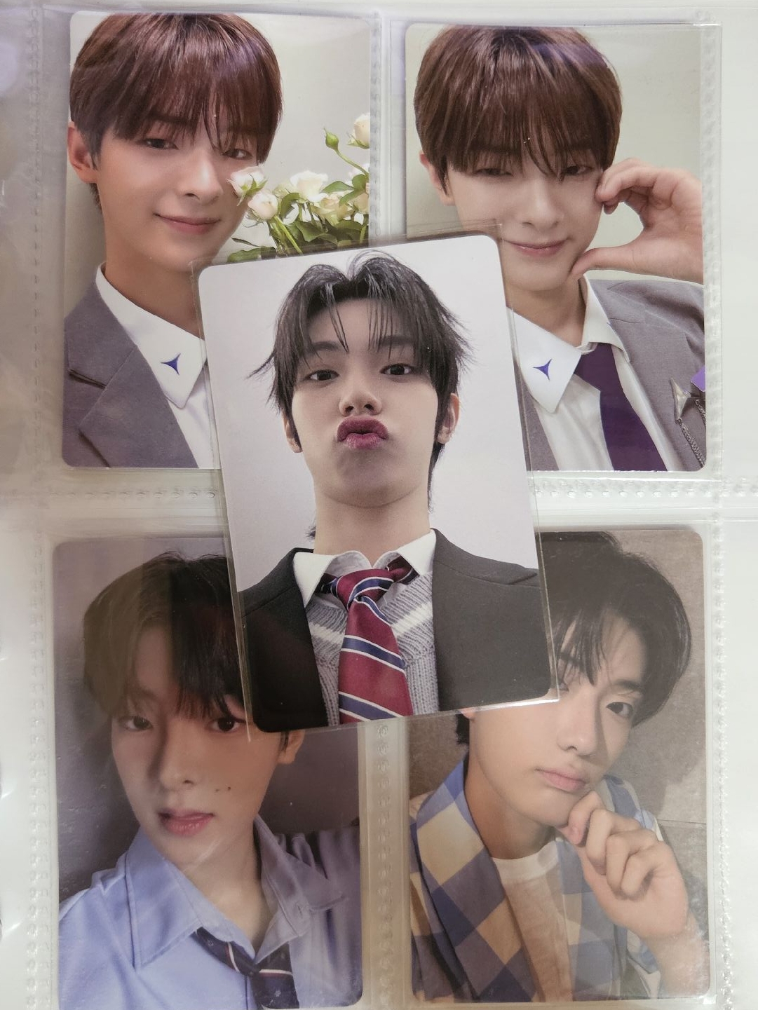 男寶二 展覽卡 現貨速寄