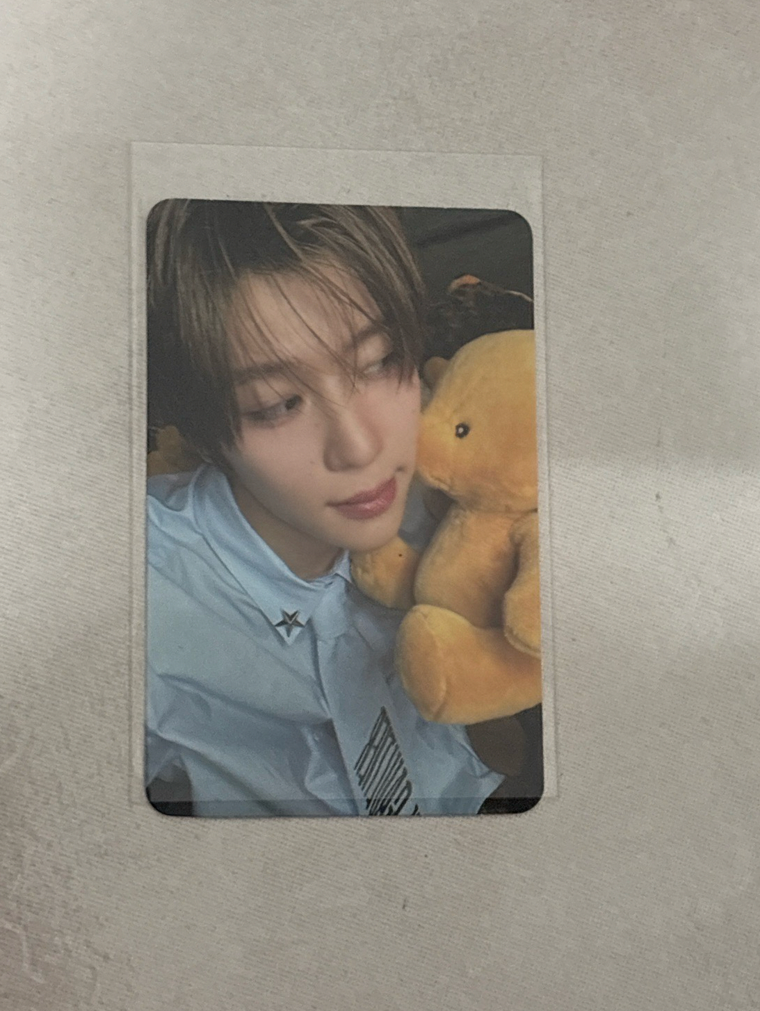 steady 紅版專卡溫