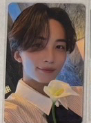 東京場限 白蓮淨（綁$200）