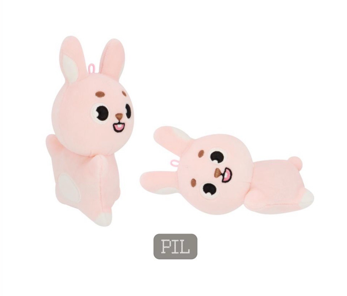 DAY6 WONPIL PIL 필끼娃娃 非全新無原袋