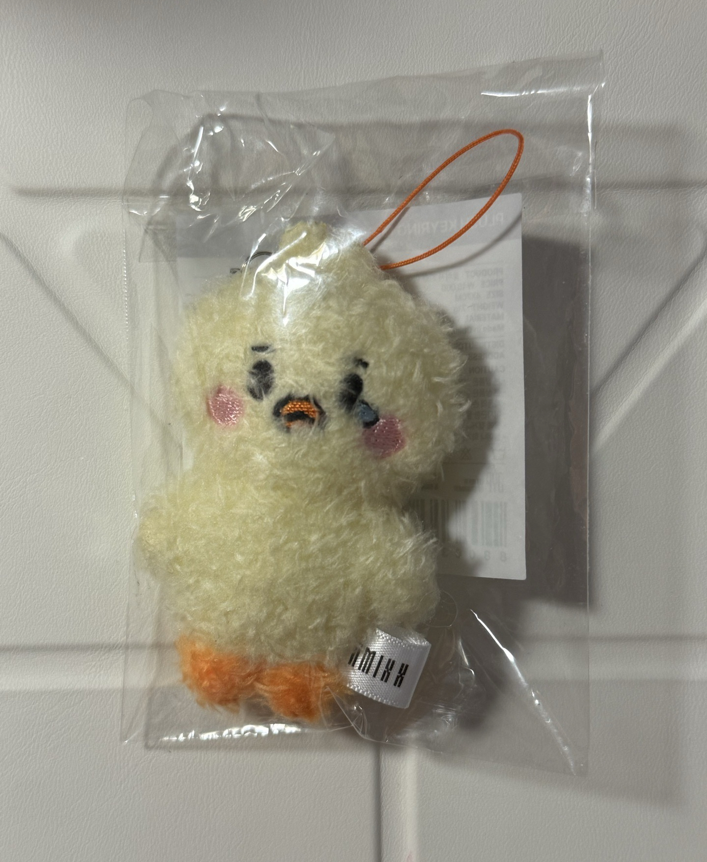 Nmixx Fm裴小娃（標價含捆）