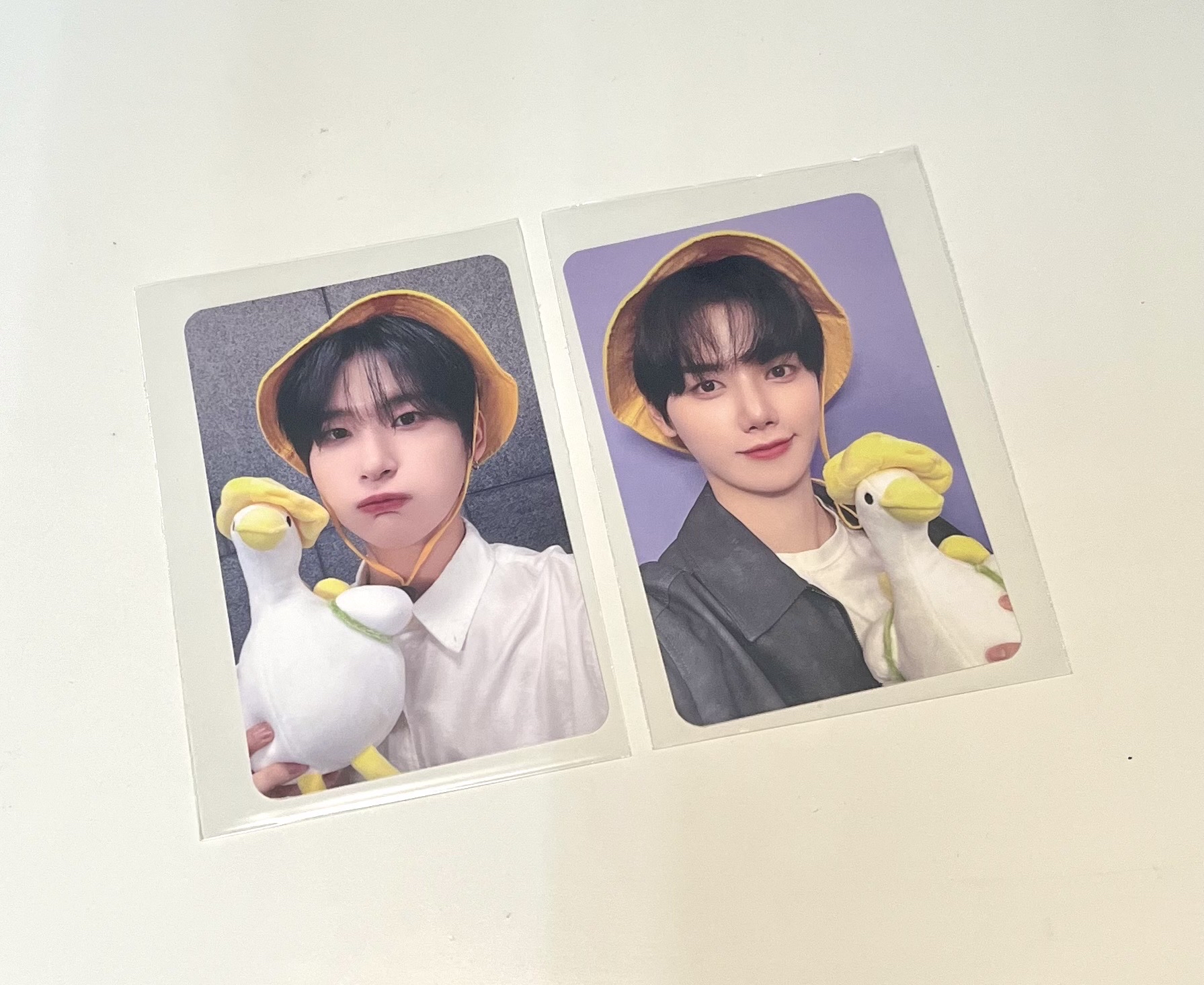 DtC ms5.0 黃色小鴨