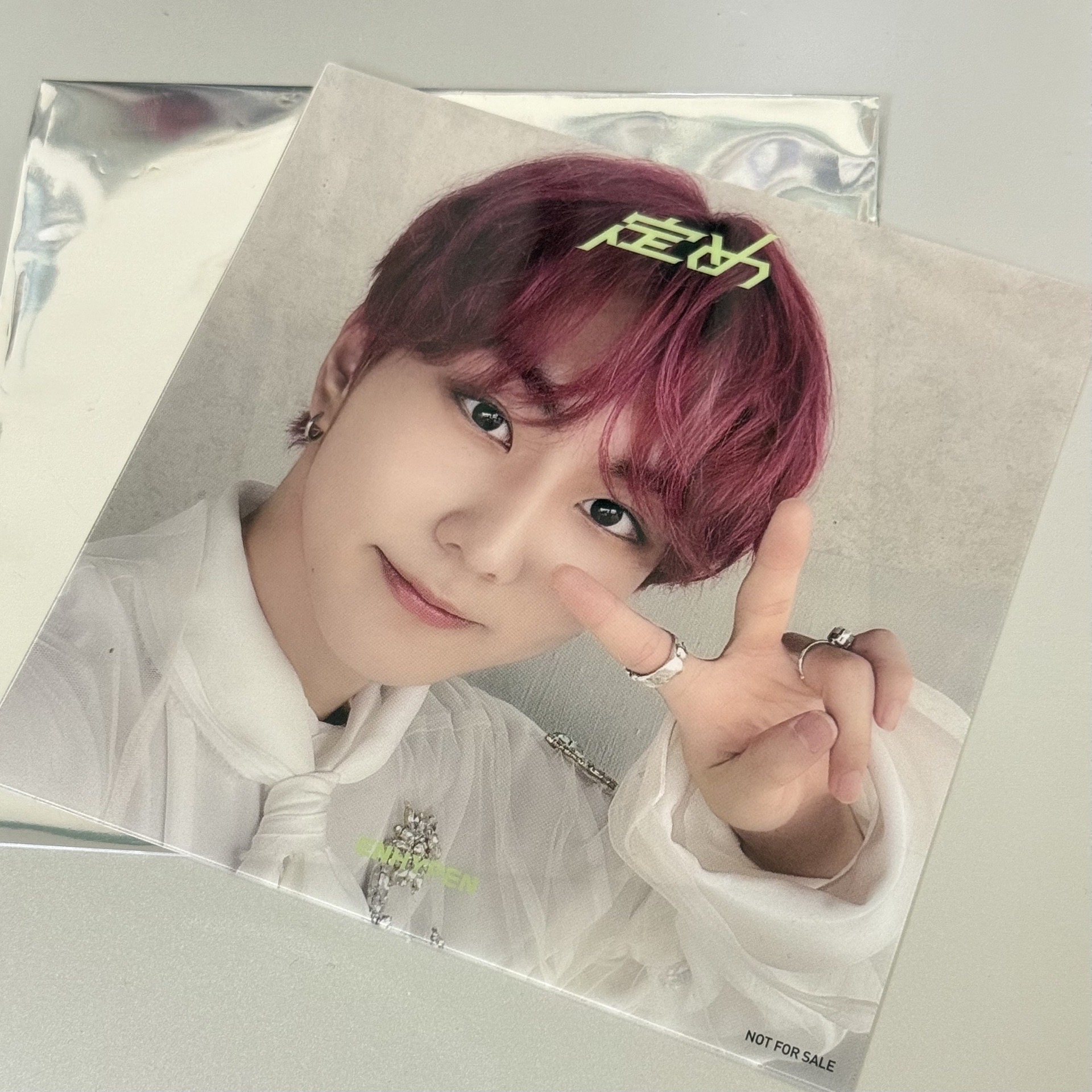 定め 日巡場限特典 禎元