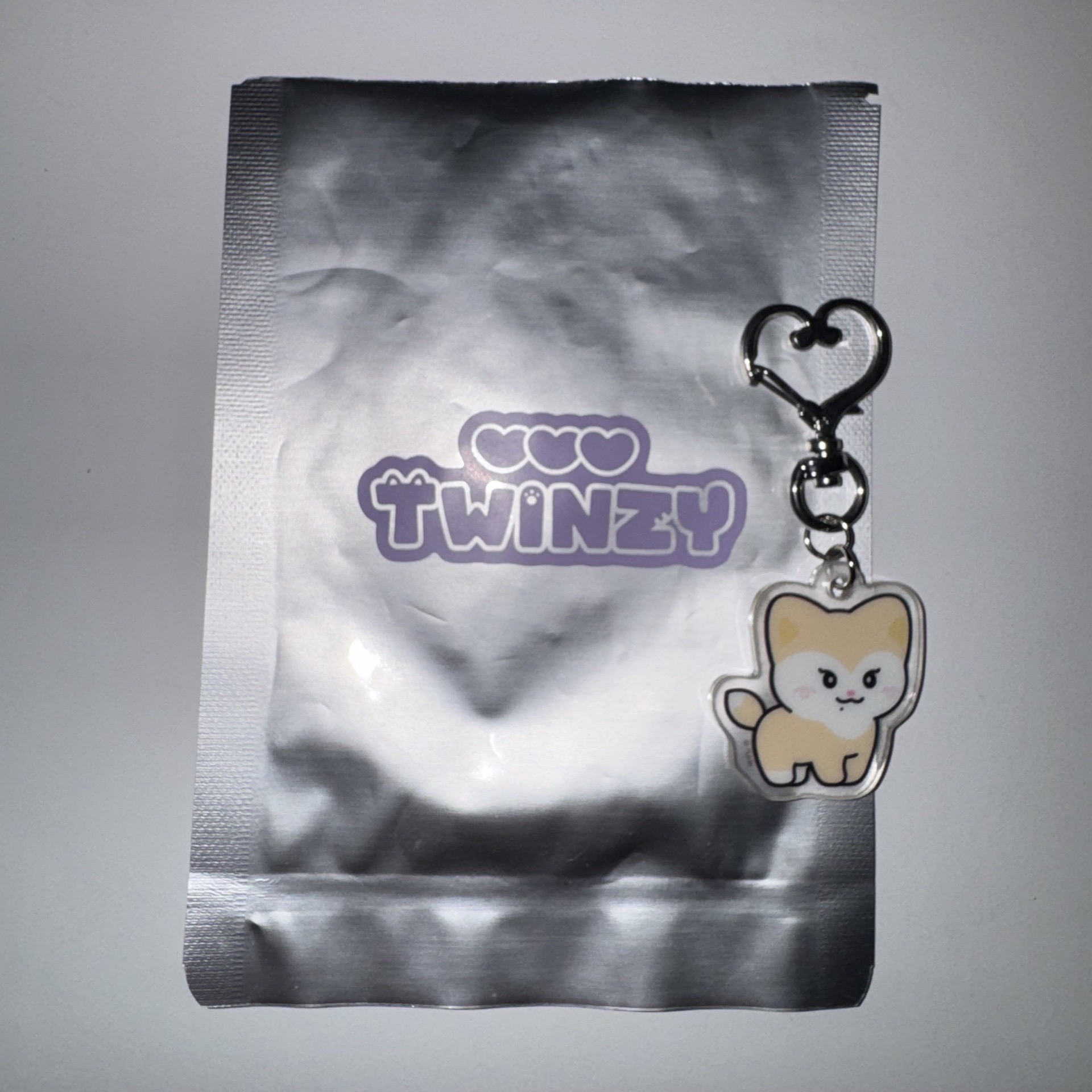 𝙄𝙏𝙕𝙔🍒<BORN TO BE>二巡演唱會 四腳隨機吊飾｜彩領