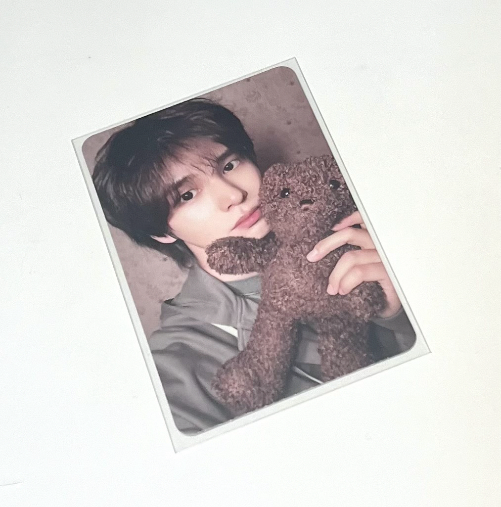 DtC 單封船特 泰迪熊