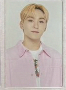 23克拉島隨機卡 寛