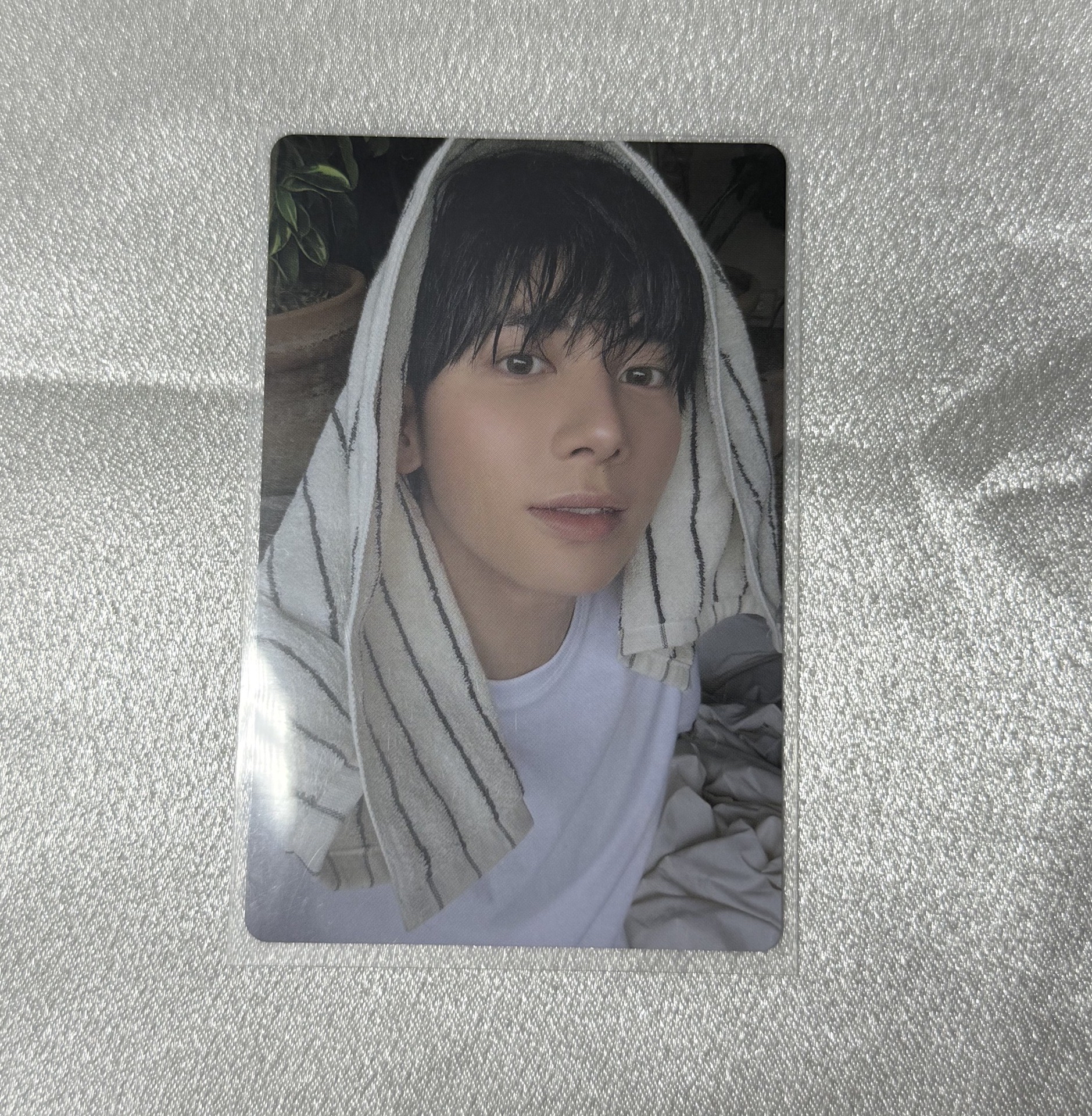 迷七 專輯卡 單封 Angel版 太顯