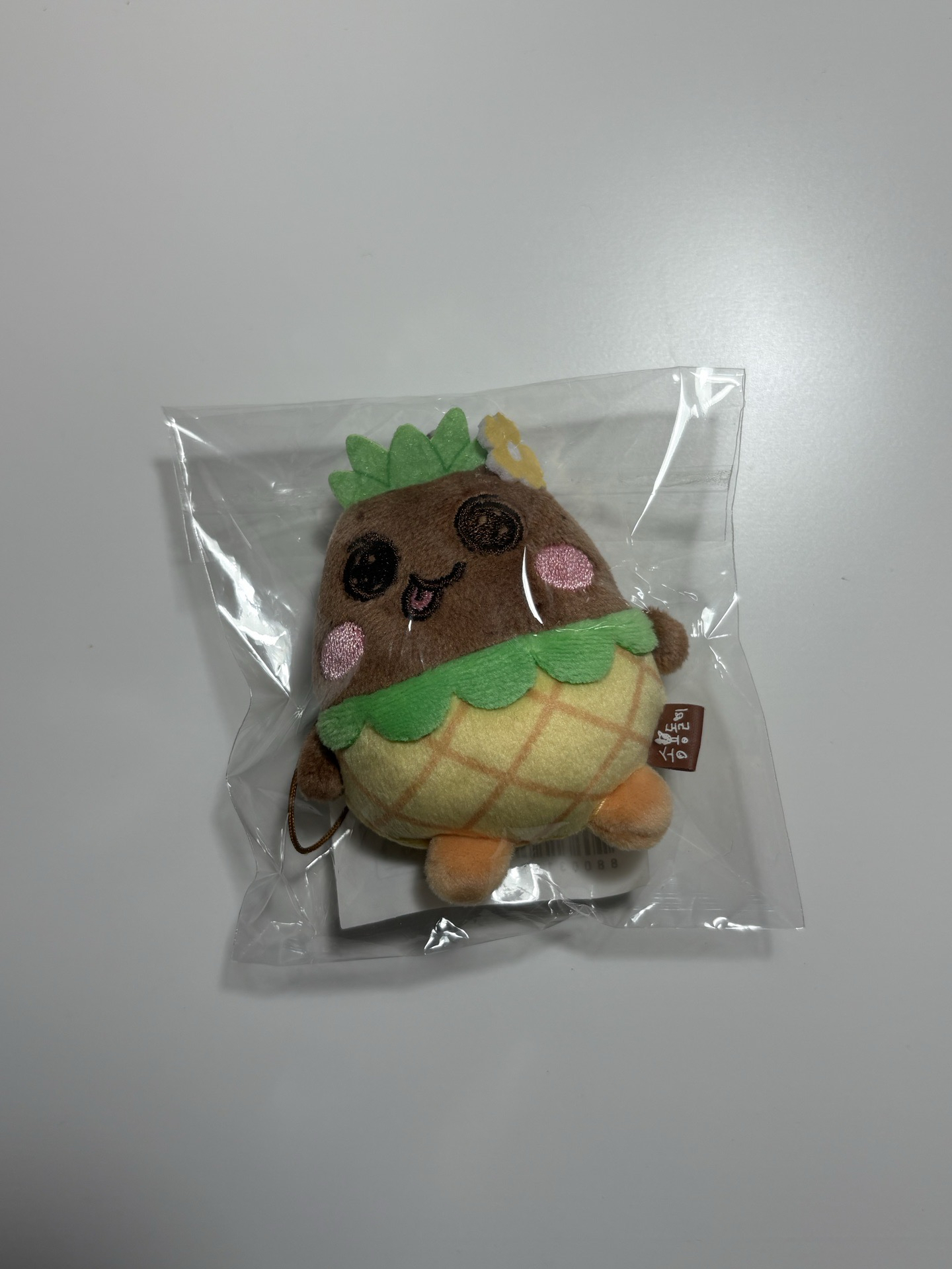 RIIZE 恩夏日糰子