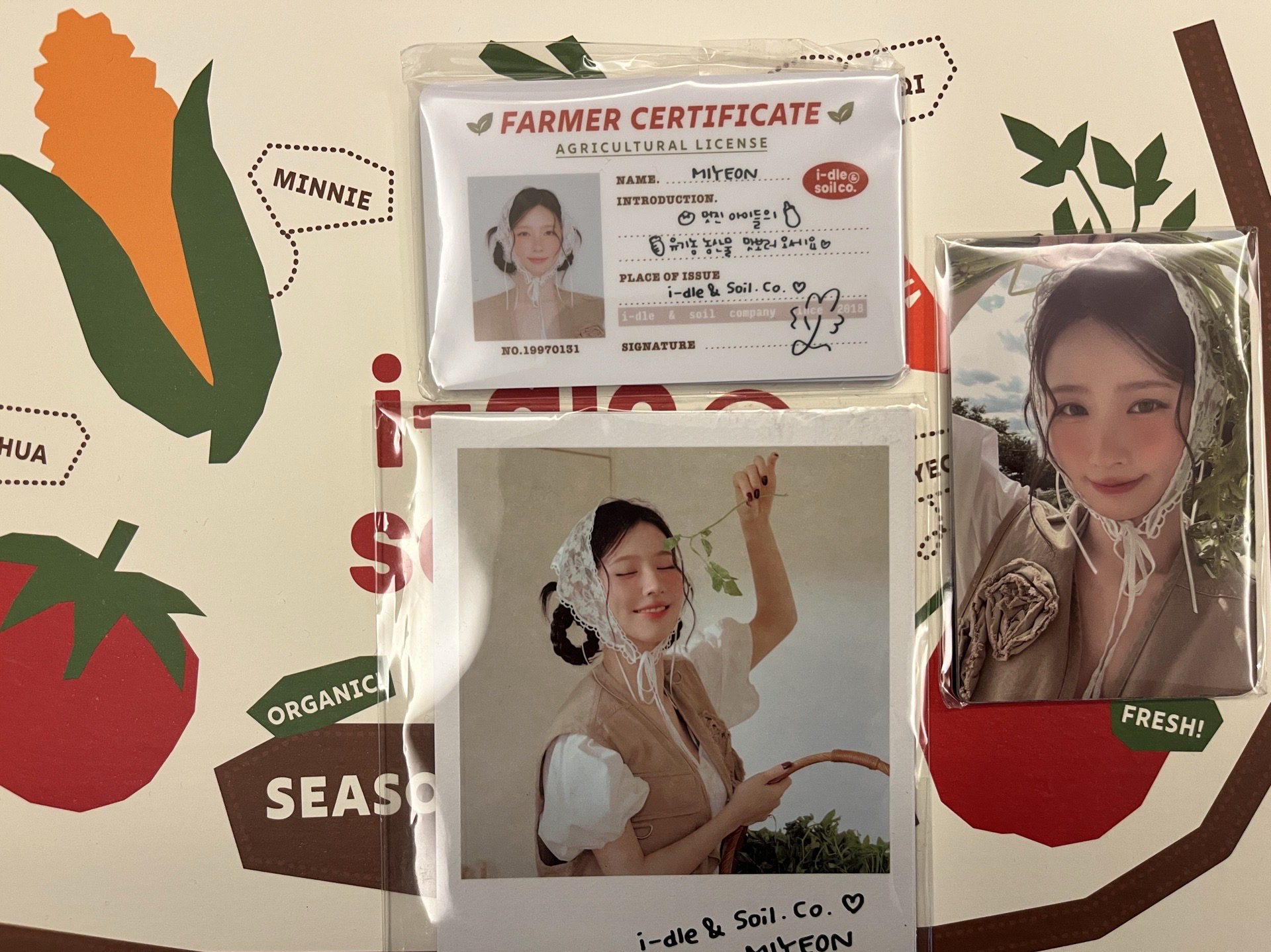 idle 2026 年曆小卡+農民證+成員拍立得 （無娟）