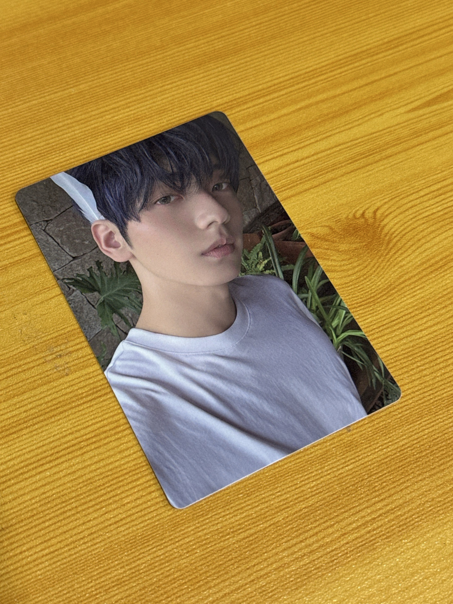 迷七 專輯卡 單封 Angel版