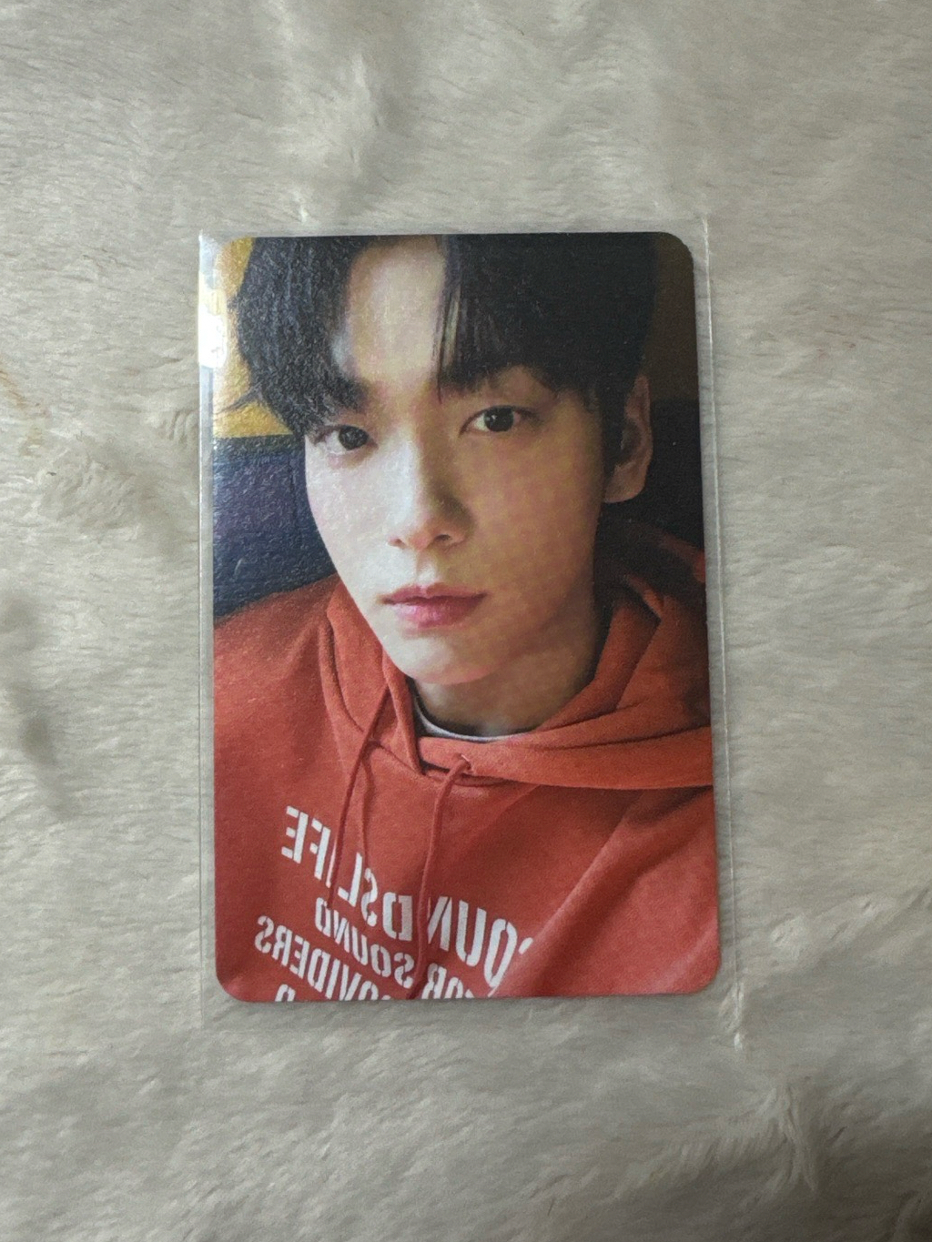 🩷夏寫 布丁彬 跟布丁一樣萌欸萌欸！