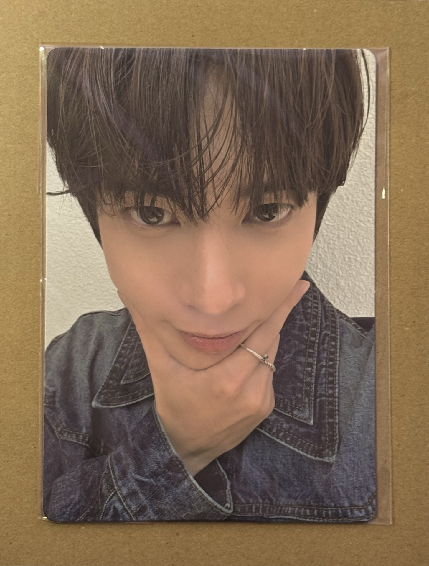 愛之語 wvs特典大卡顯 全新未拆