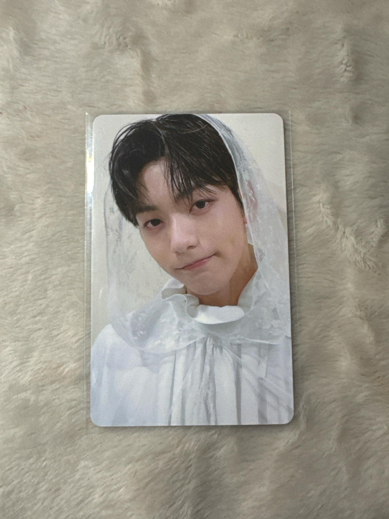 ❤️‍🔥新娘彬 DVD卡 誰來把他娶回家