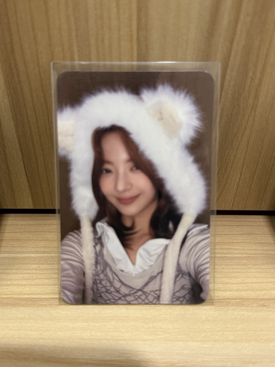 GOLD MS13.0 狐狸 粒 🎵