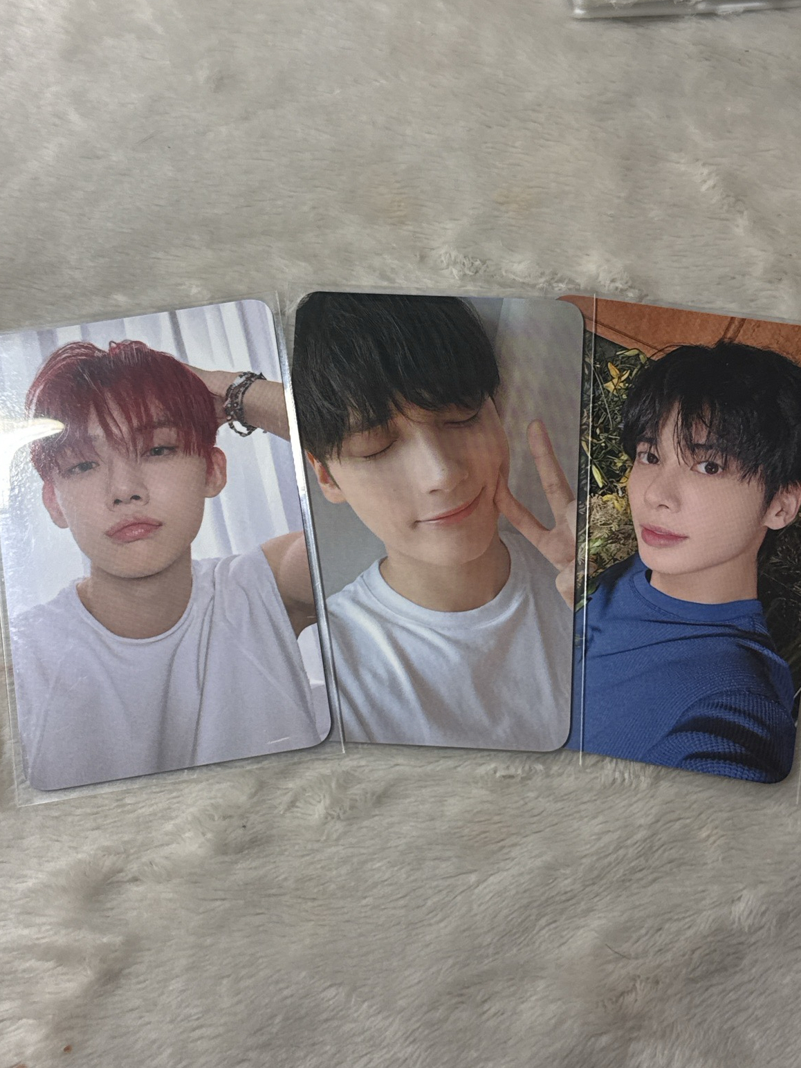 🩷迷七dmm3.0簽售卡 竣顯寧