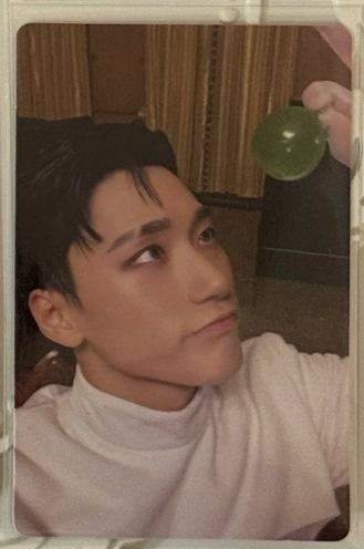 看著不確定是什麼東西但很可愛