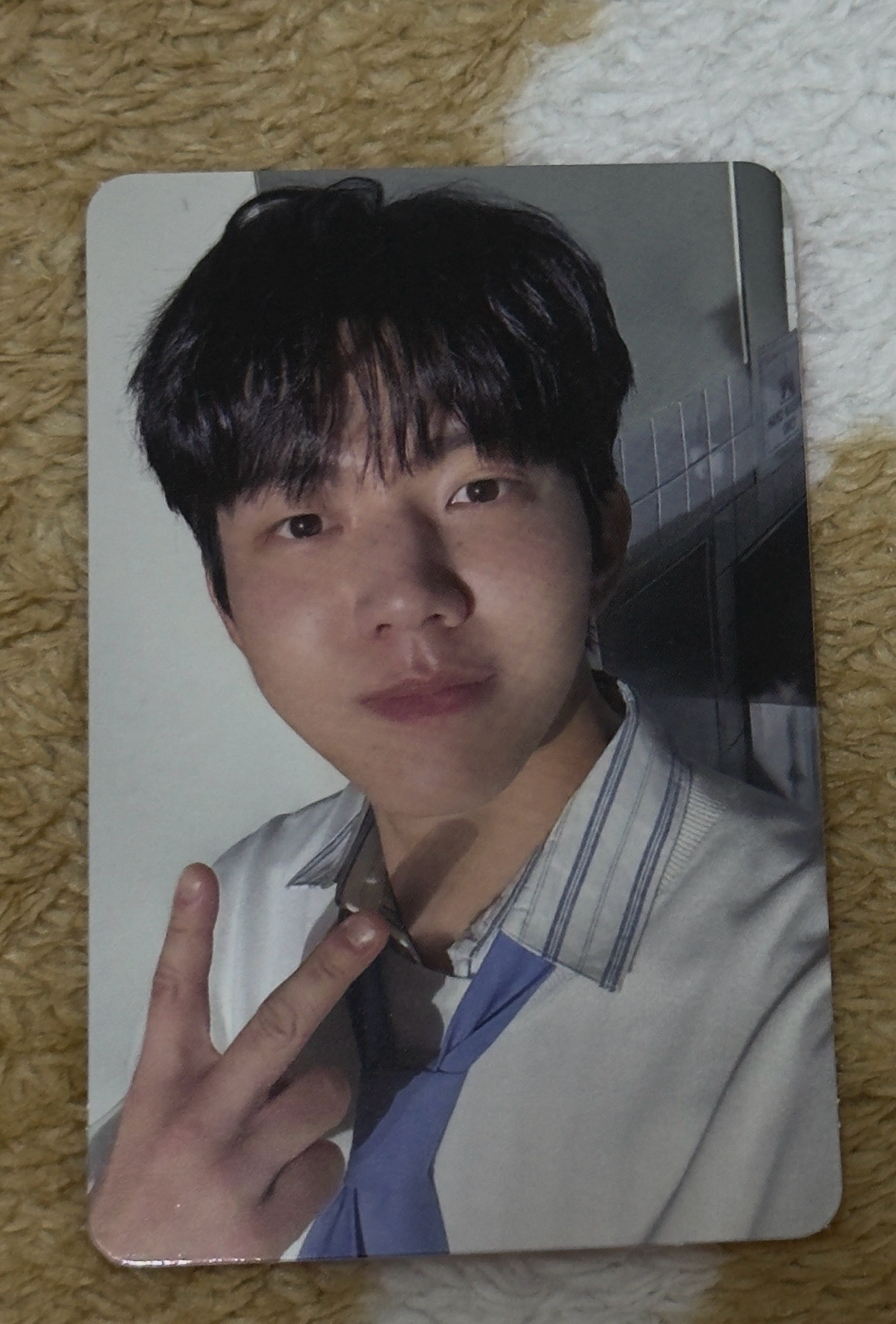 DAY6 度云小卡🐶