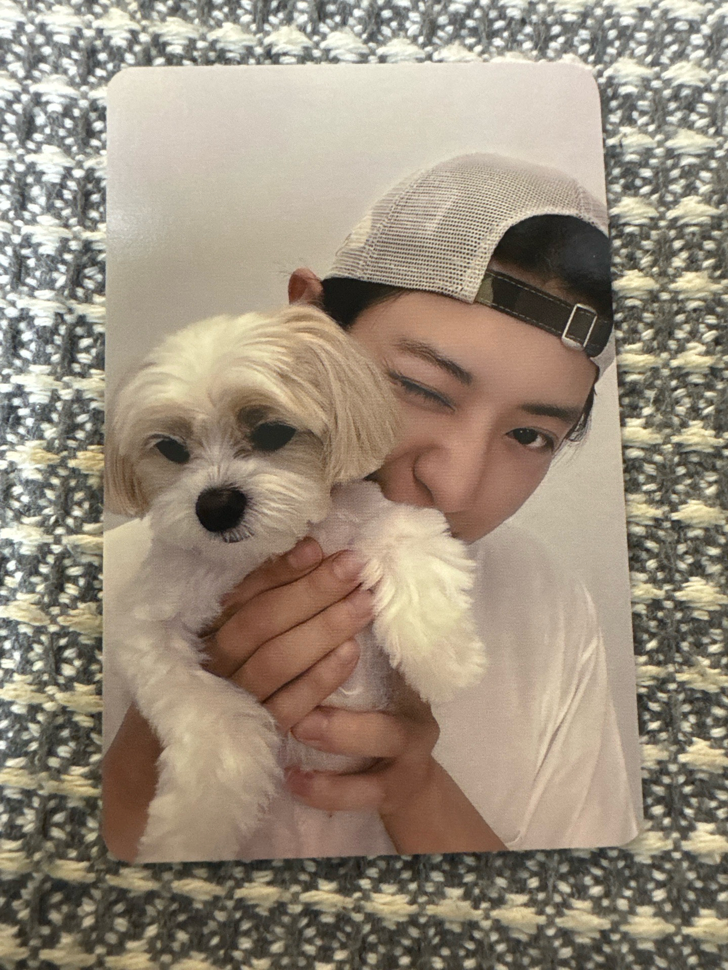 🍒泡泡摩奇燦烈 & 札特