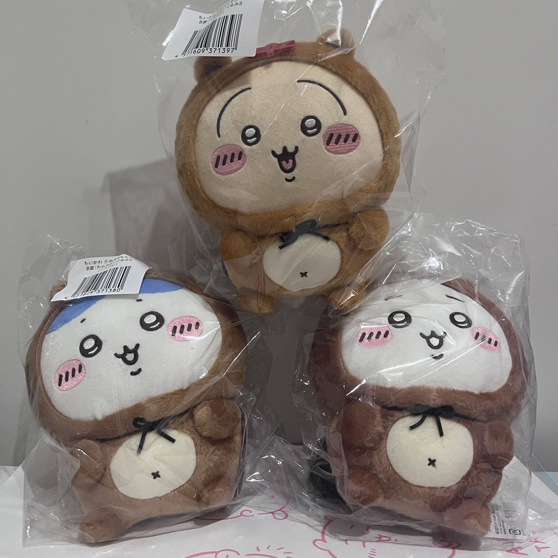 狸貓賞 B賞三小隻一組