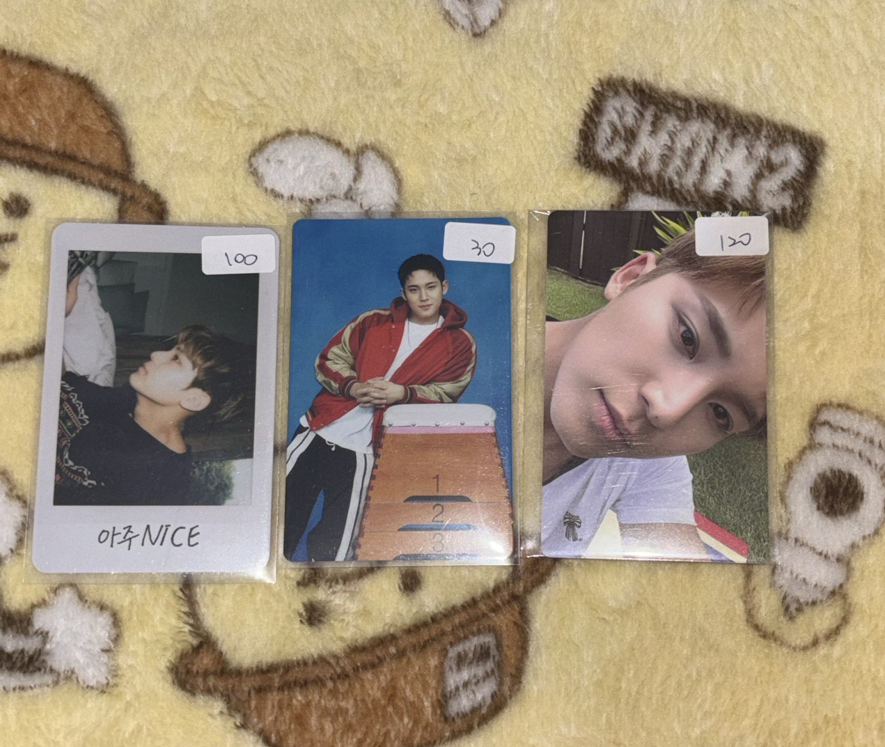 奎卡 來看闖禍小狗