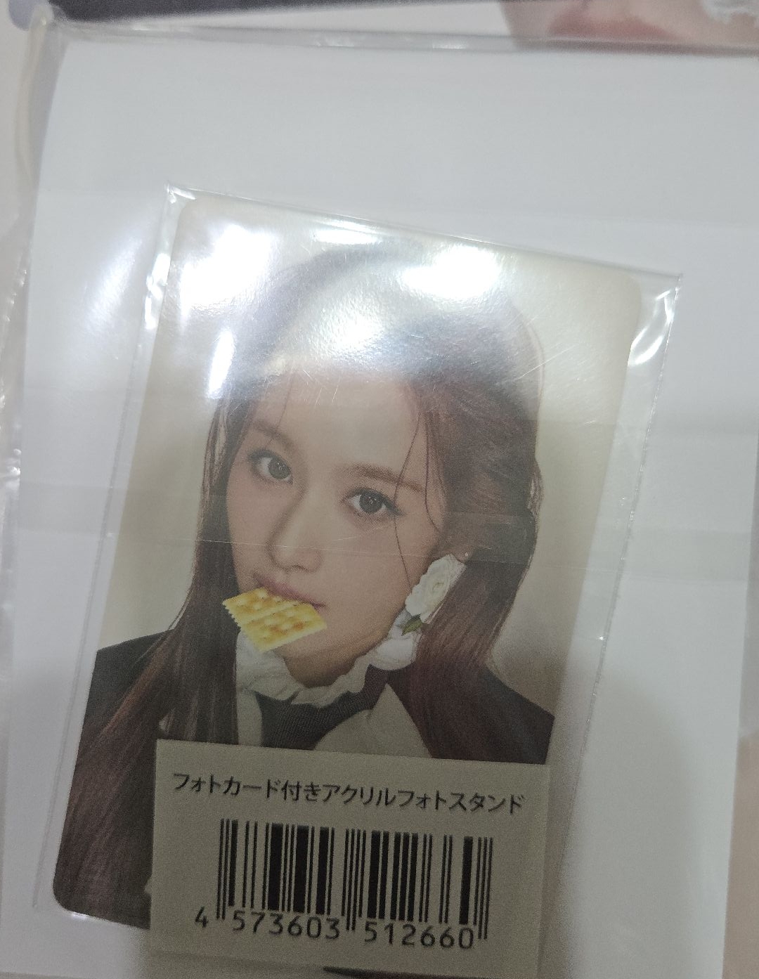 紗特典立牌小卡🩵