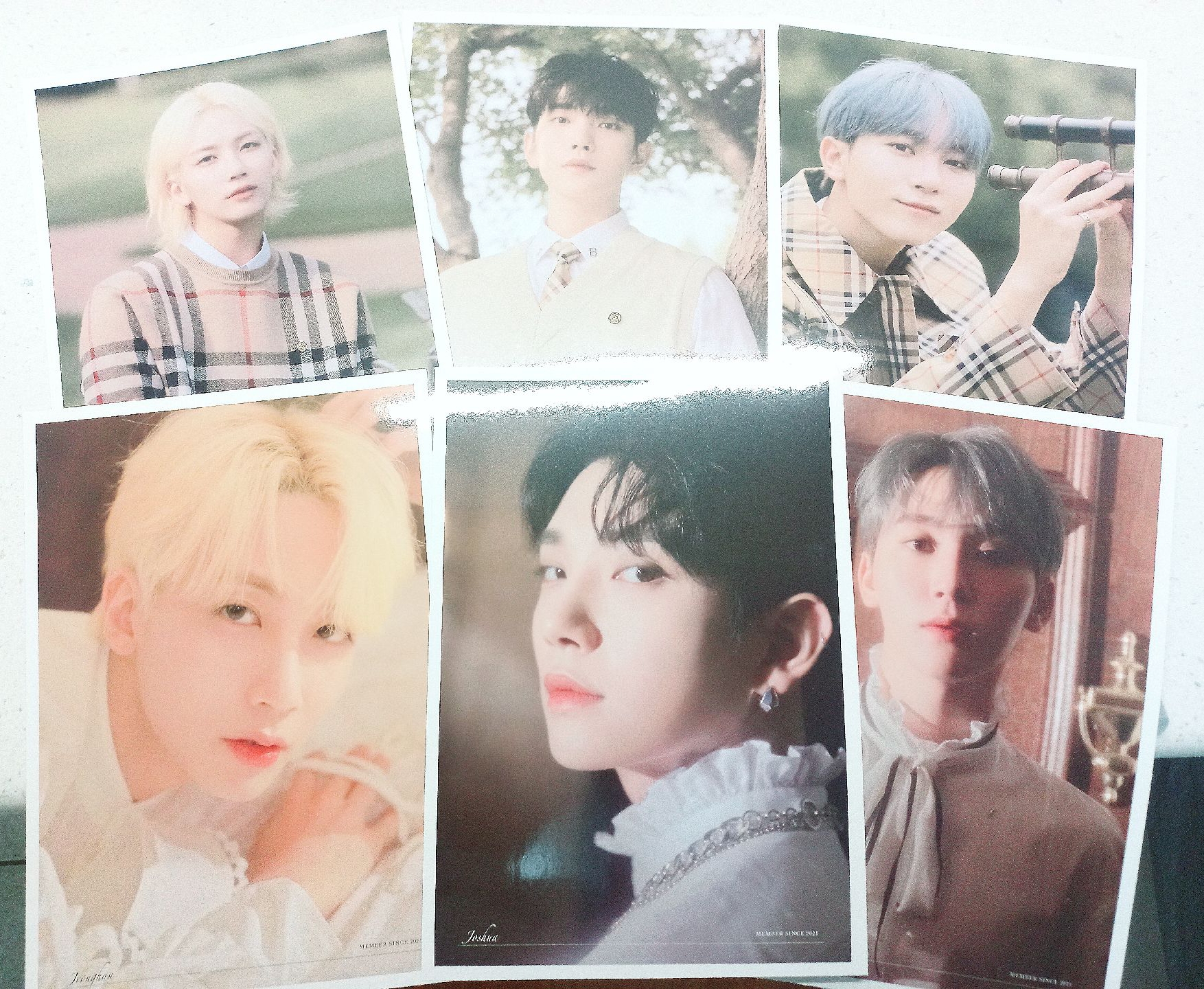 [🐰現貨合售]淨漢 知秀 勝寛 SC大卡