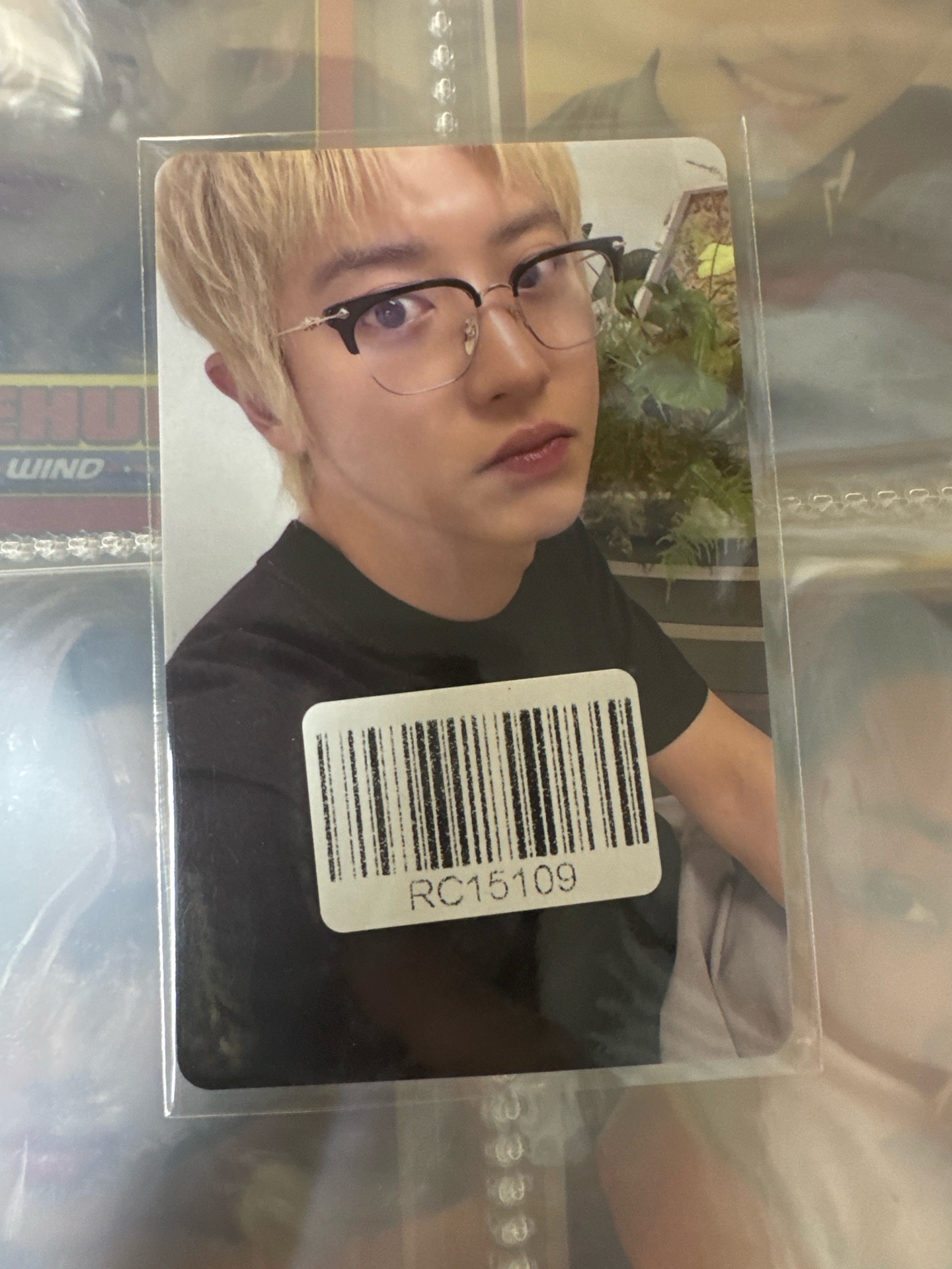 Black Out 眼鏡燦烈（現貨