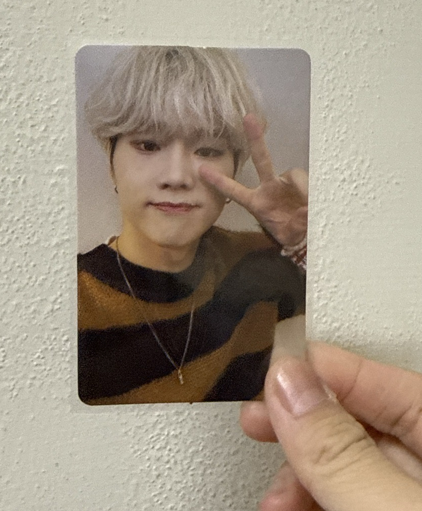 HW卡包比耶條紋🐱