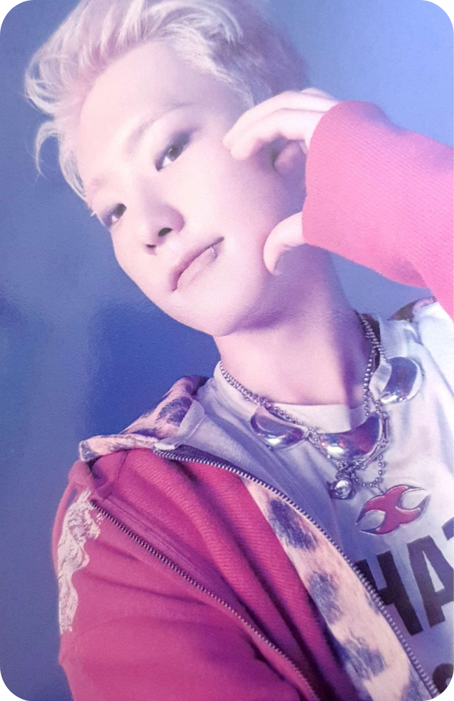 ‘TELEPARTY’ wvs 應募fanparty 特典卡 