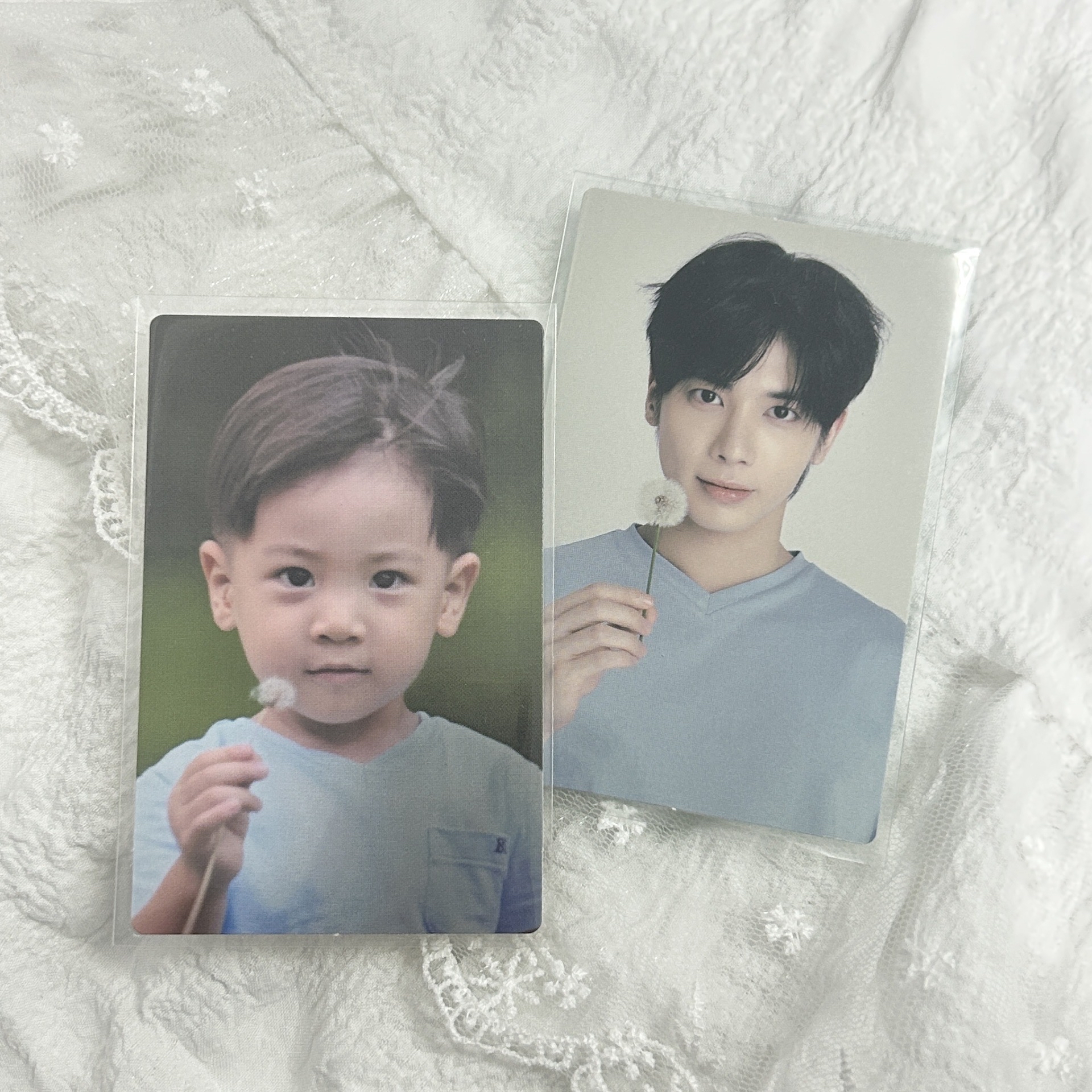 🩷聰明寶寶姜太顯