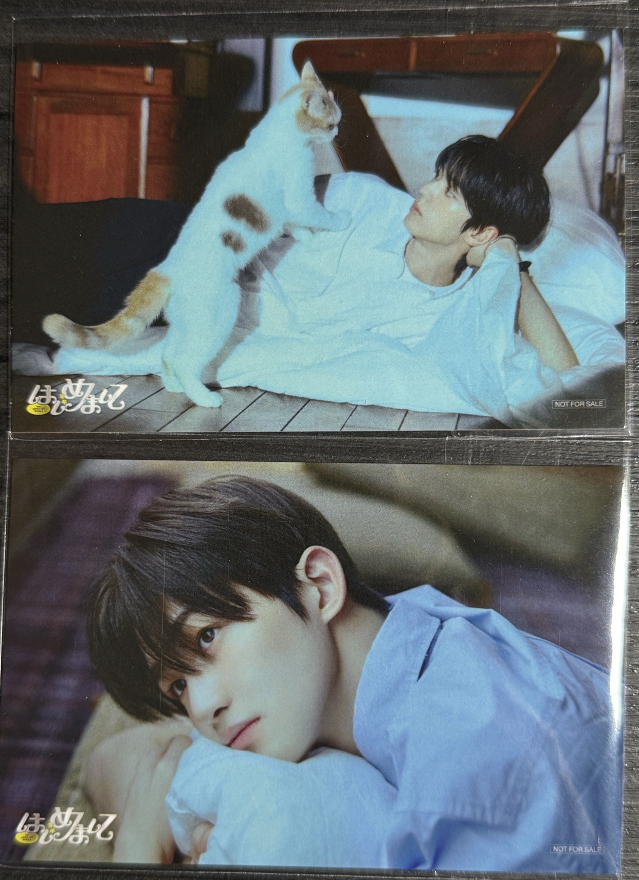 TWS 日專樂天特典 