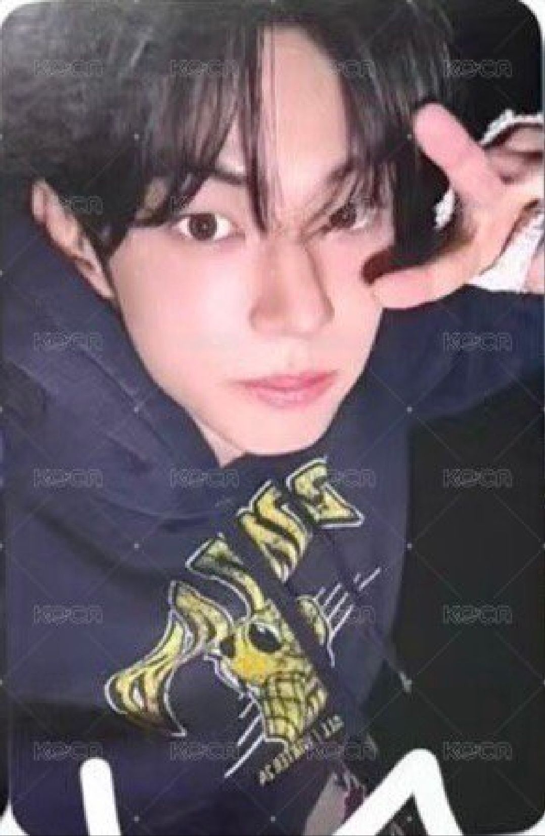 Play Hard wm 簽售卡 金道勳