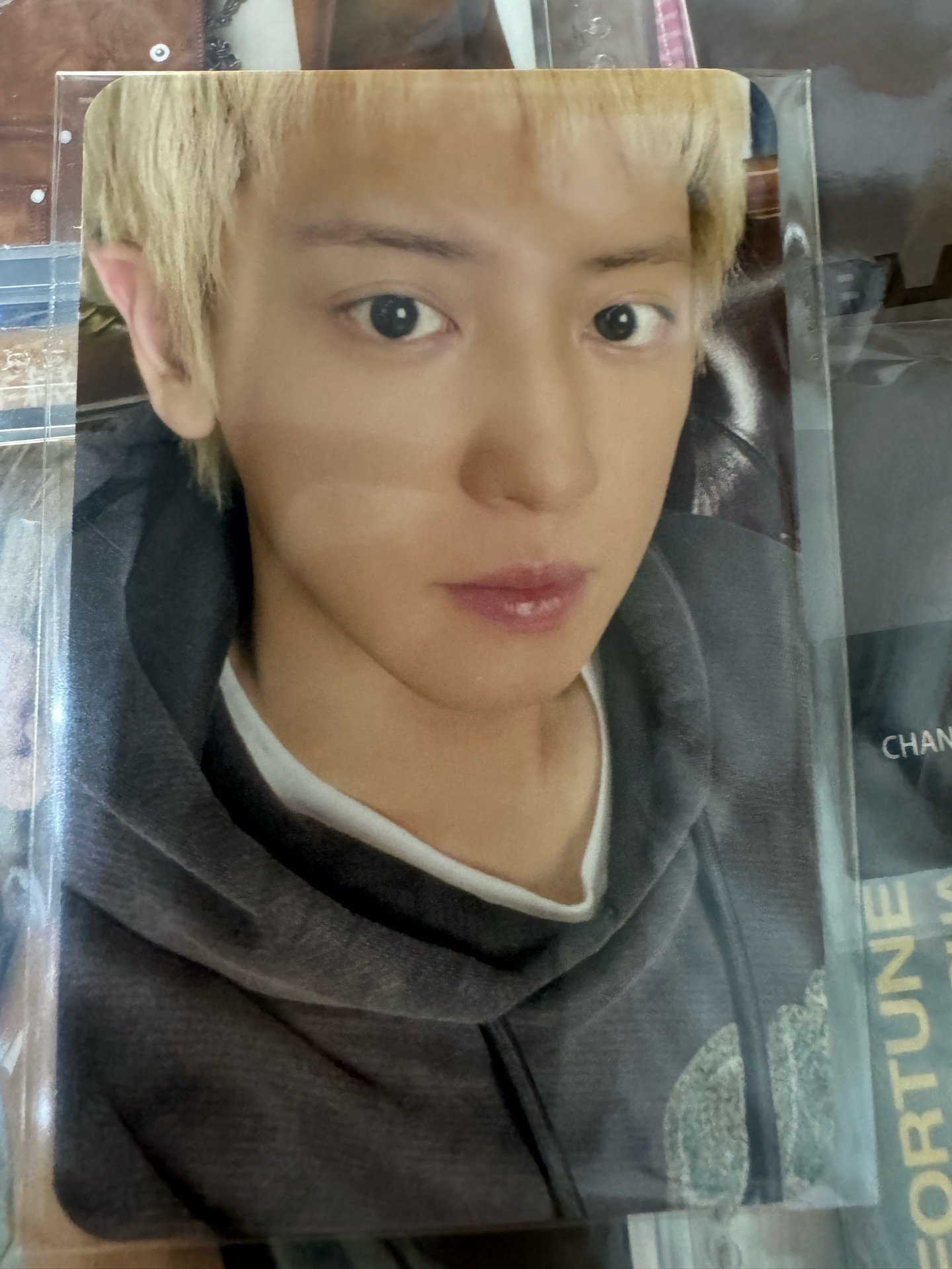 Black Out Mumo A ver（現貨