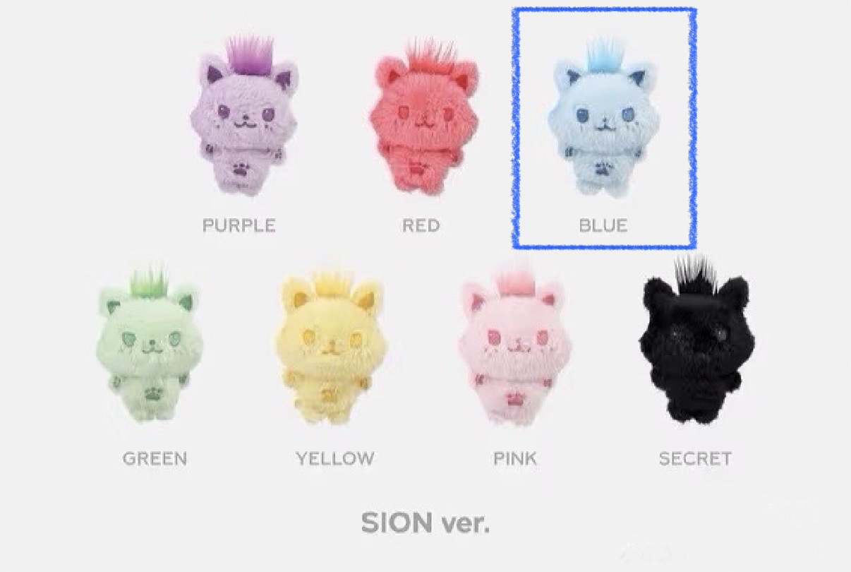 NCT WISH SION 藍娃