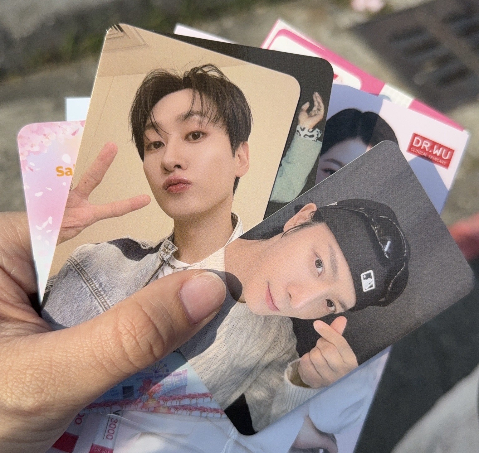 櫻花季小卡 D&E 銀赫東海