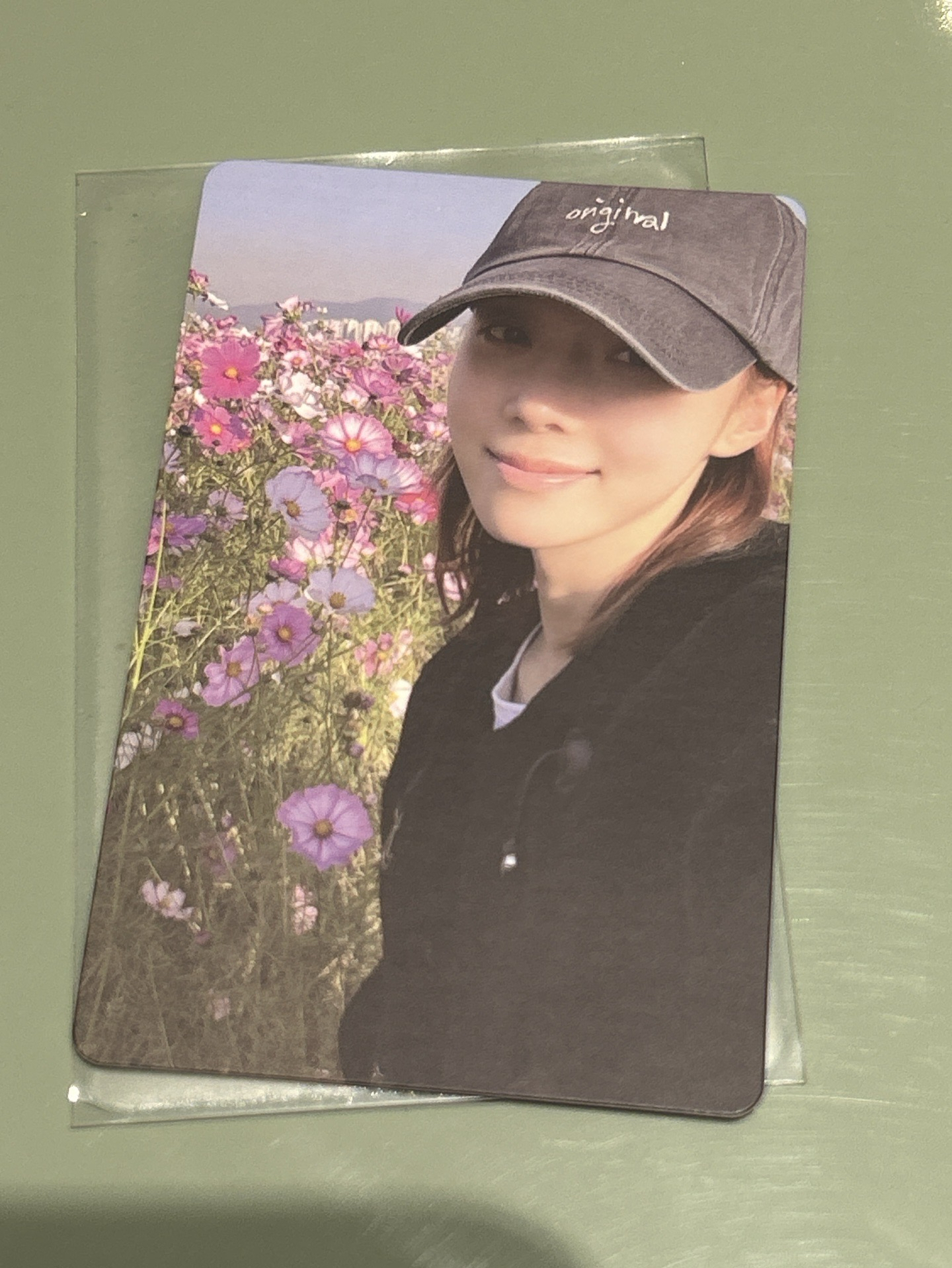 花叢冬 買一送一