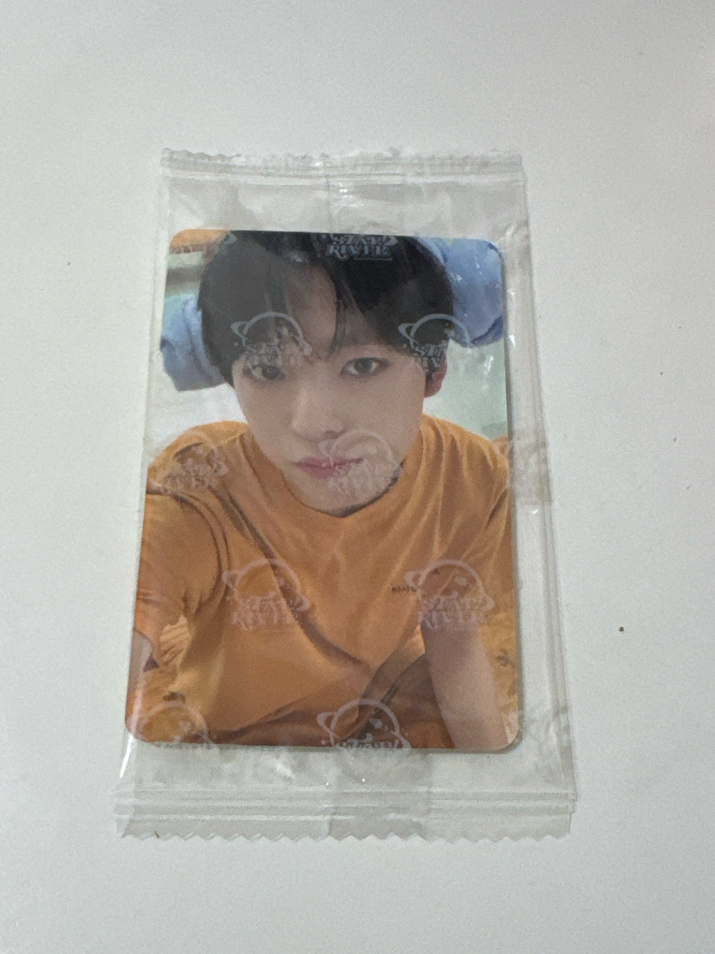 Color am幸運卡 羊角貓 yushi