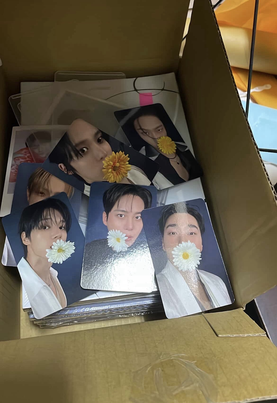 咬花特典含專（榮鍾不拆）