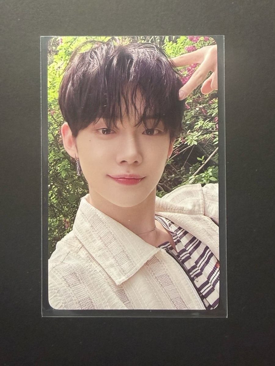 日專Chikai場限貓耳竣