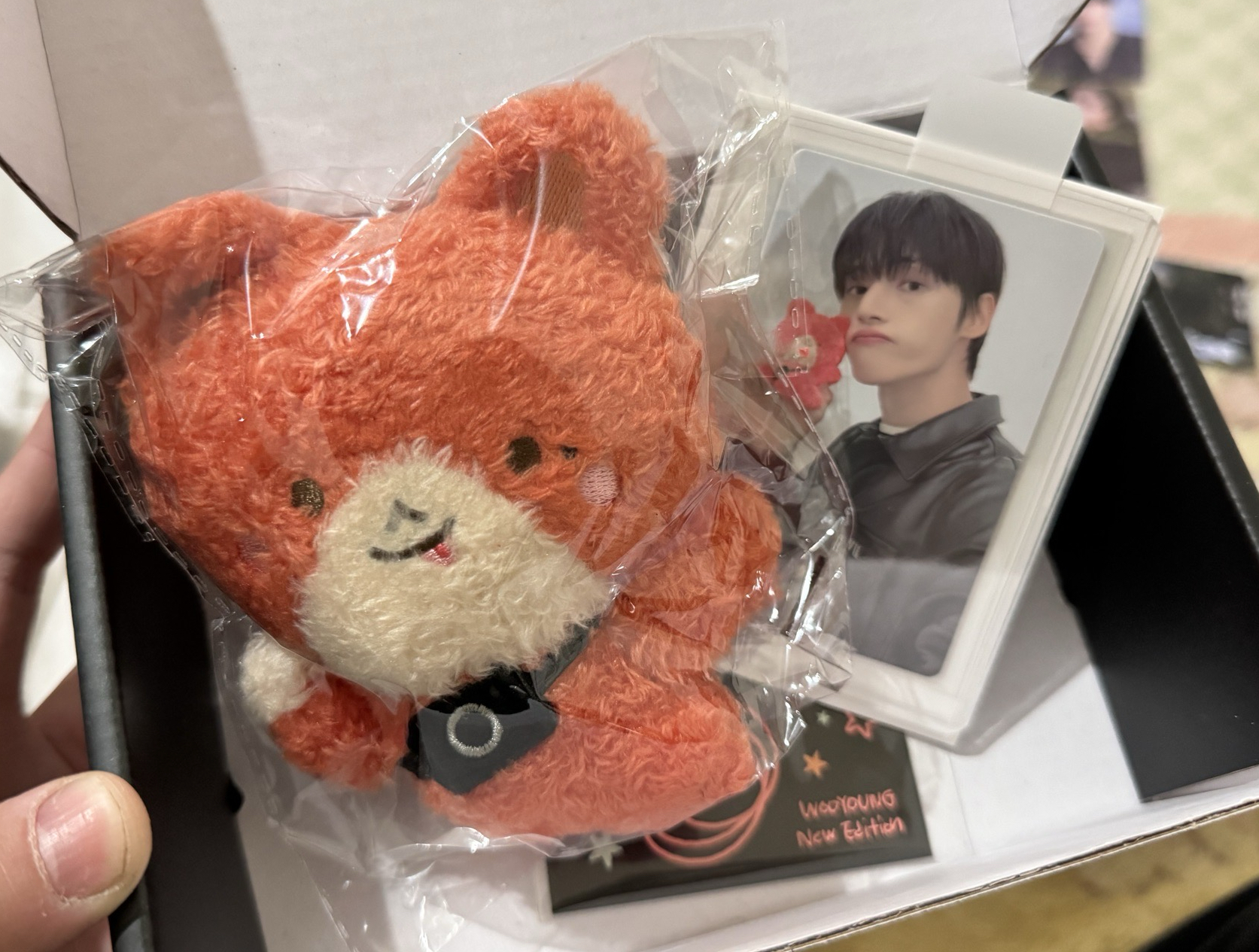 榮生日MD(無耳機)