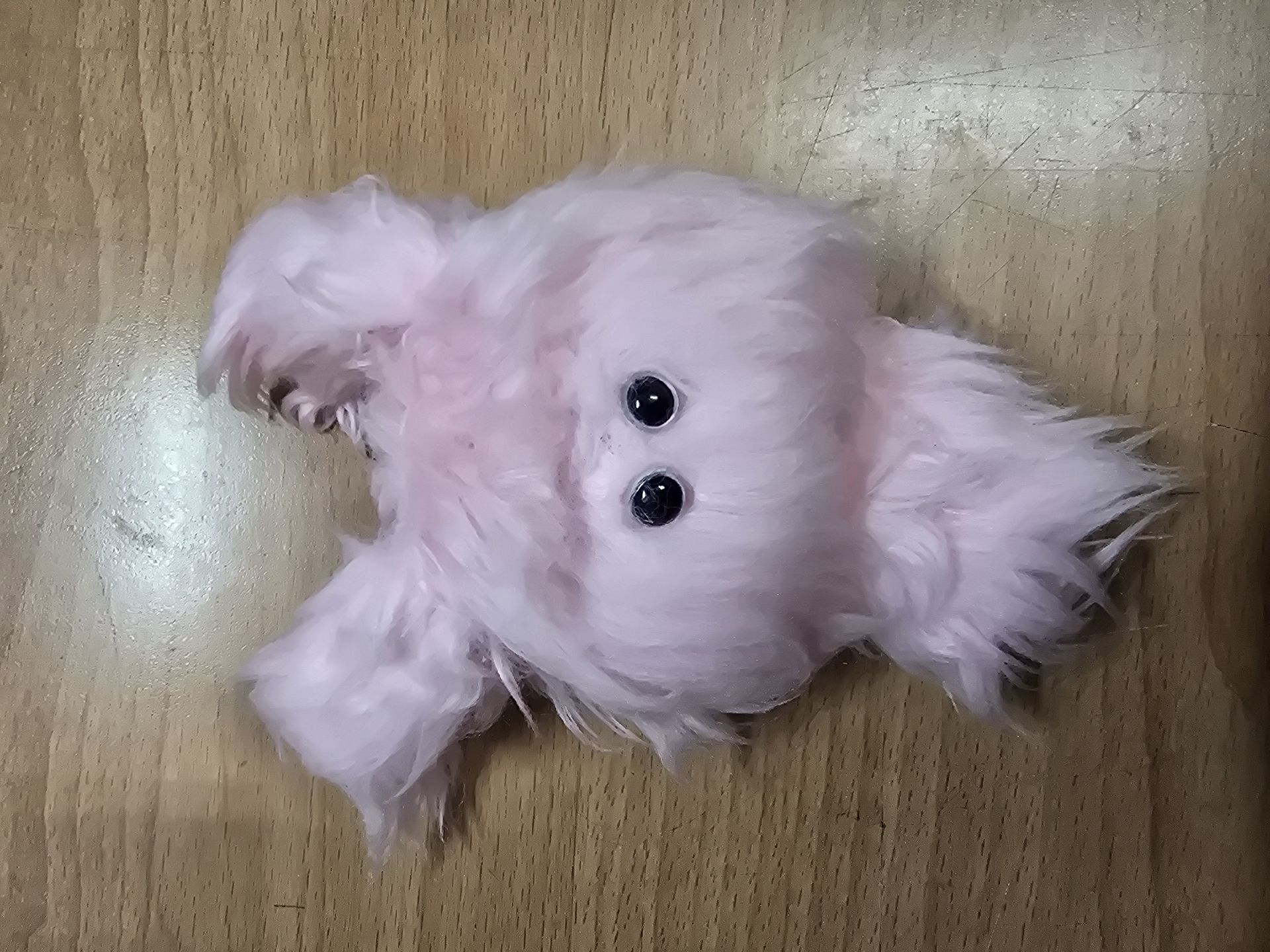 圭水母 （下單前請詳閱說明後私訊我）