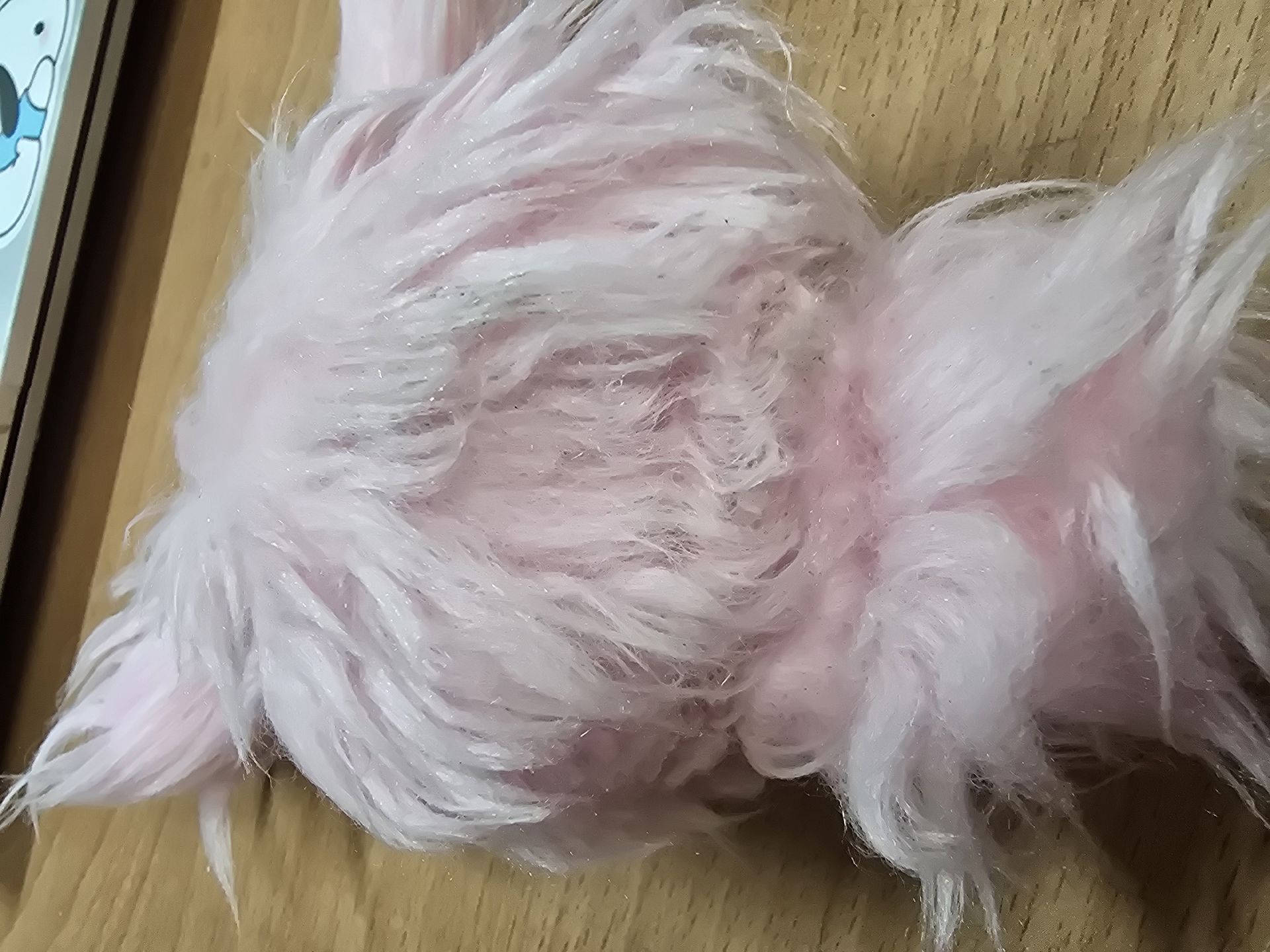 圭水母 （下單前請詳閱說明後私訊我）