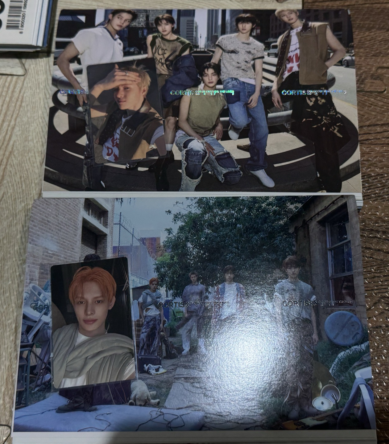 ver.2馬丁+ver.3凡