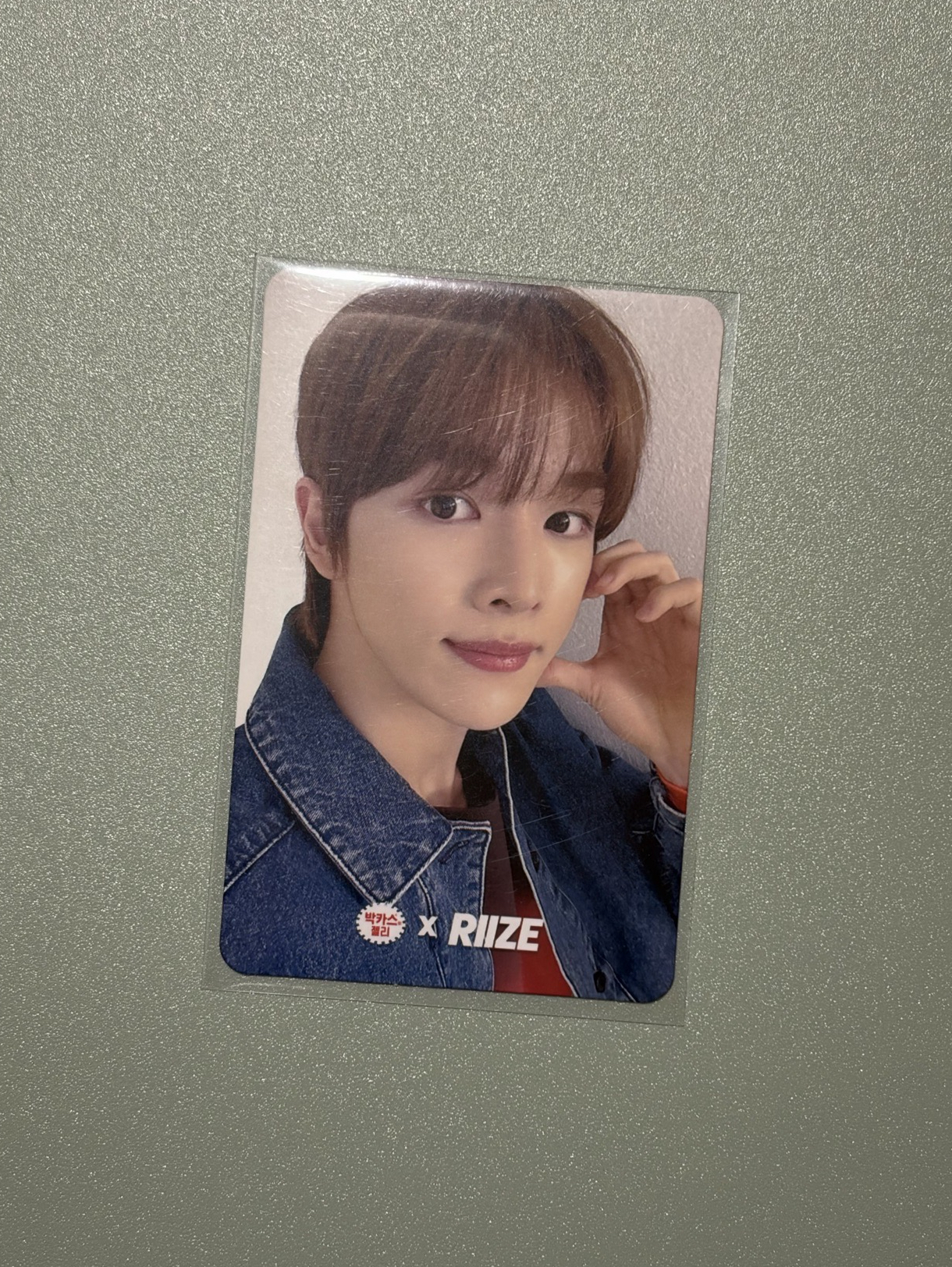 Bacchus Jelly代言卡1.0成燦