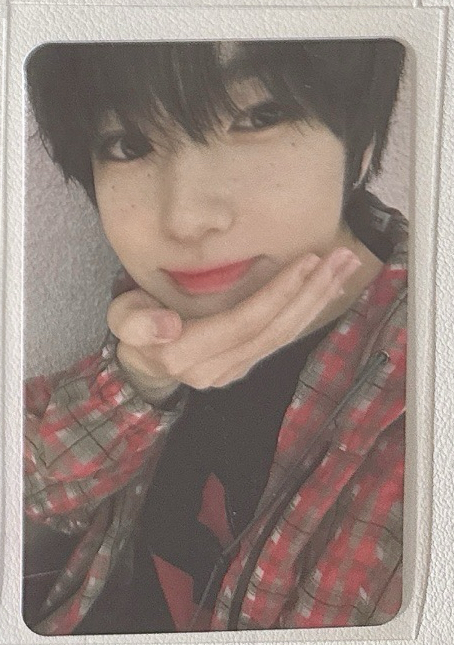 NCT WISH｜Sakuya Steady BR1.0簽售