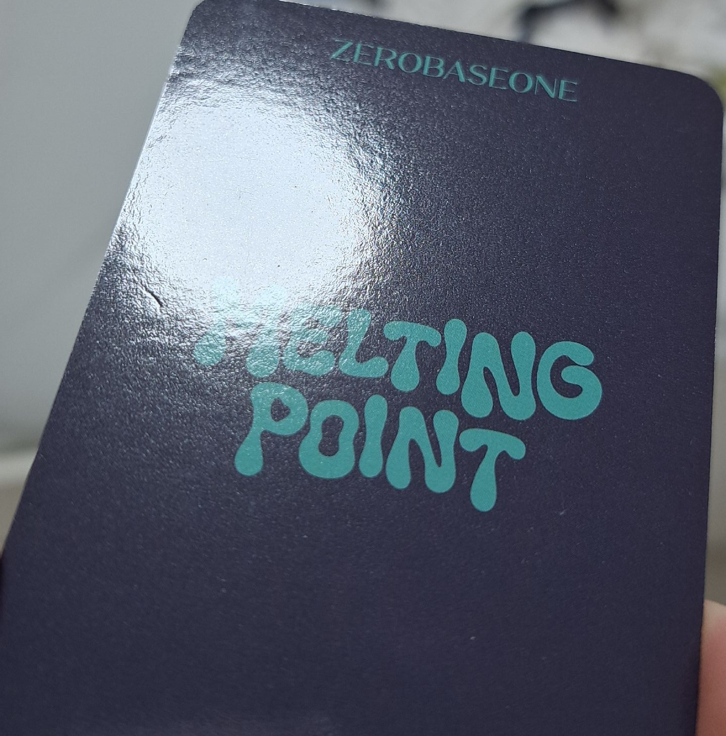 迷二 el 特典卡 捏臉昊