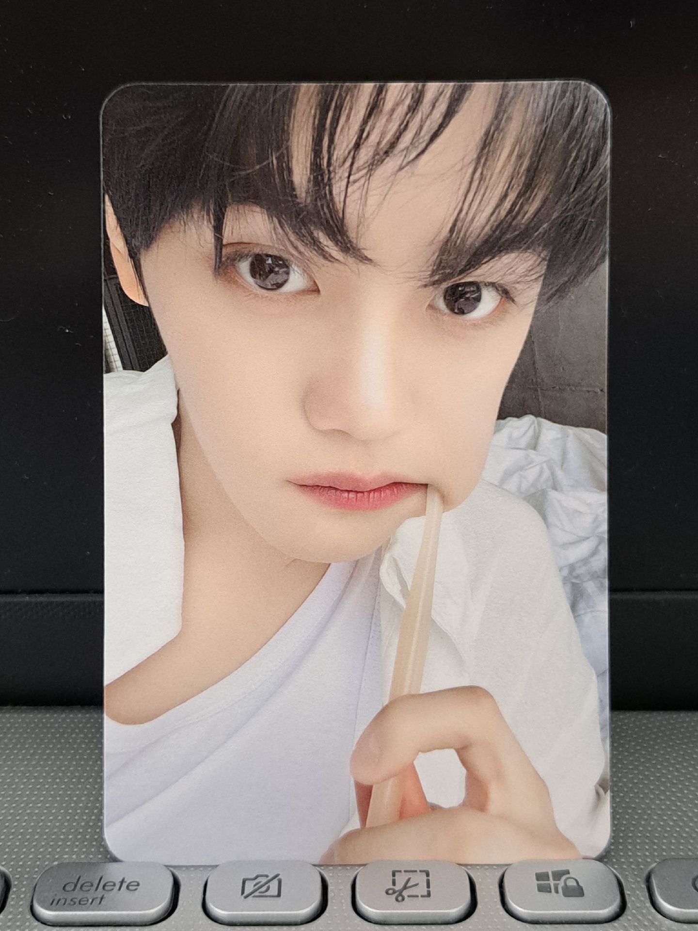 正規一 星光卡刷牙奎