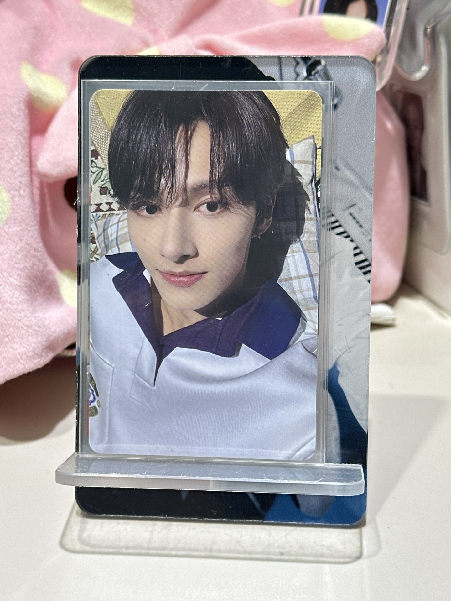 🐈俊 always yours愛知場限