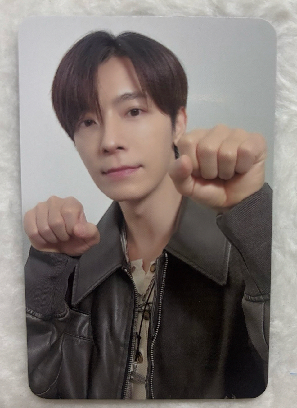 D&E 2024 eclipse 隨機卡-東海貓貓拳