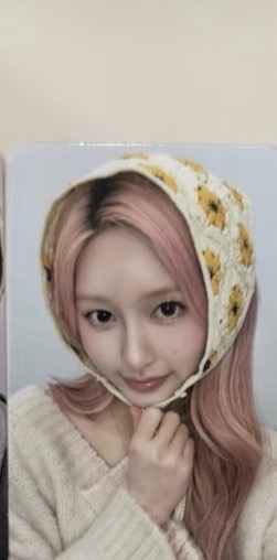 ms 向日葵 秋 現貨